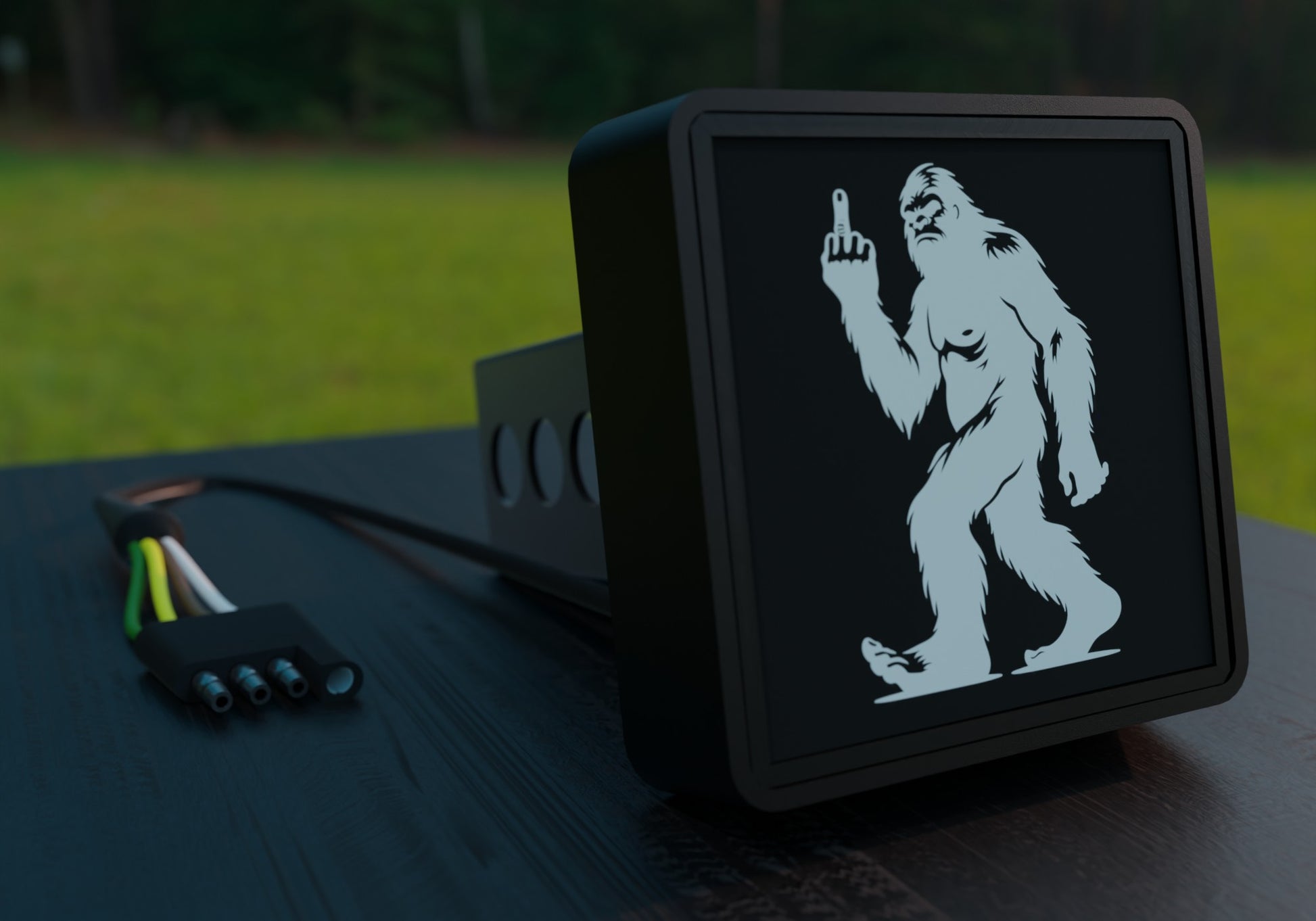 a black and white picture of a bigfoot