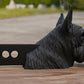 A black dog statue is sitting on a wooden surface, with a black rectangular object featuring three holes in the middle of it.