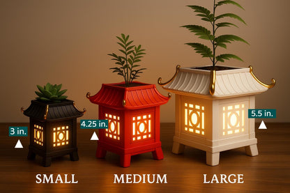 three small lanterns with plants in them on a table