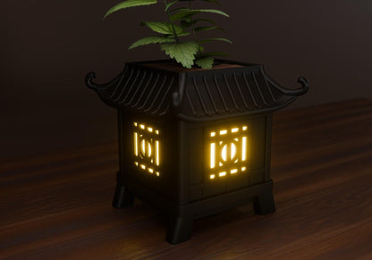 a potted plant is lit up in the shape of a lantern