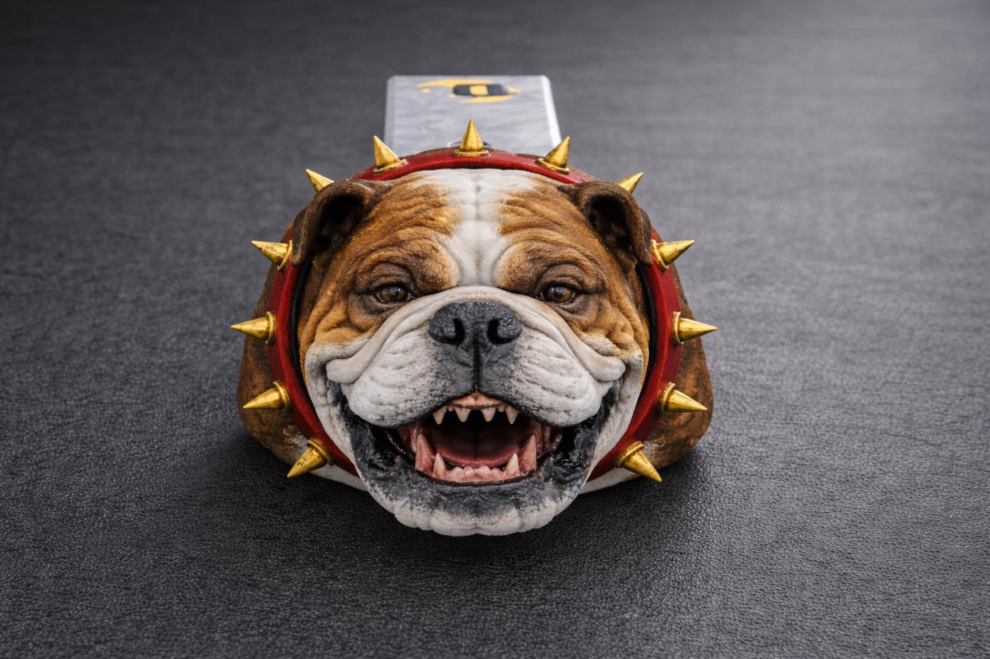 A close-up of a bulldog wearing a red spiked collar with gold spikes, sitting on a gray surface.
