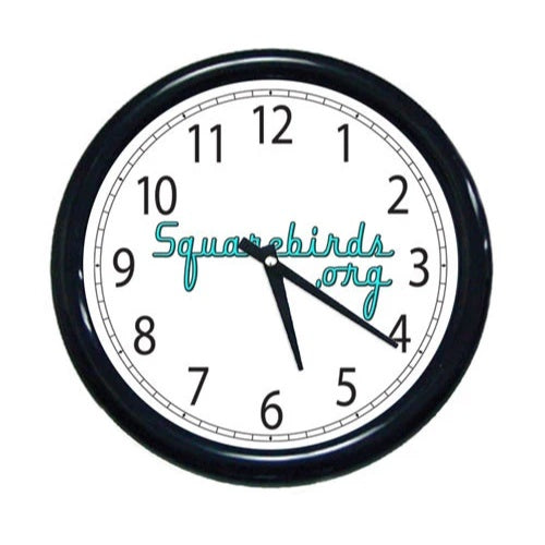 Squarebirds.Org Wall Clock